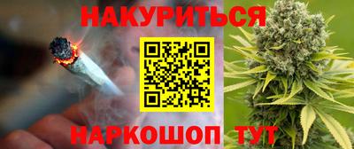 гашик Новозыбков