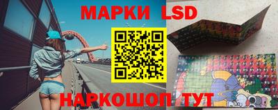 гашик Новозыбков