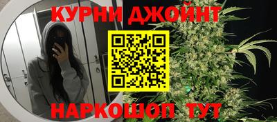 гашик Новозыбков