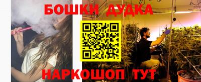стафф Новодвинск