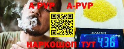 гашик Новозыбков